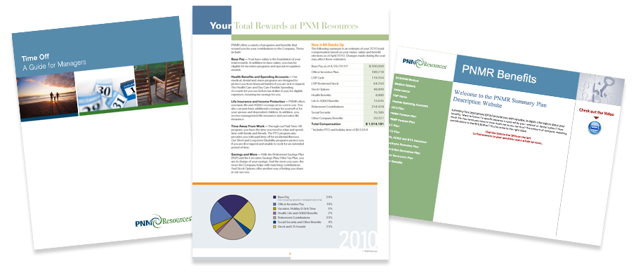  PNM Resources, Inc. Project